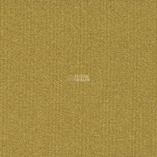 Modulyss Millennium Nxtgen Millennium Nxtgen 200 фото 1 | FLOORDEALER